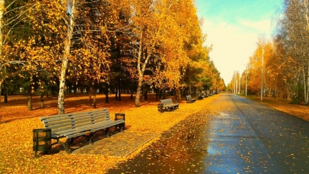 Sunny Autumn Day - leaves, park, bench, autumn