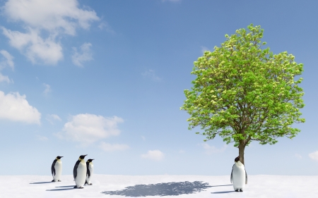 :) - penguin, summer, funny, fantasy, creative, bird, pasare, cloud, blue, green, tree