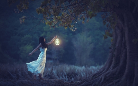 â™¥ - forest, model, girl, night, blue, white, lantern, tree, asian, woman