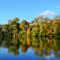 Lake Nature