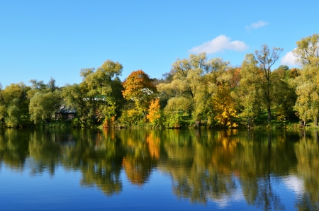 Lake Nature - wood, nature, sky, lake, forest, blue, green