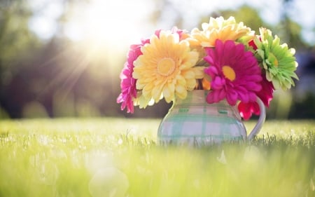 Spring Flowers - flowers, vase, nature, spring, bouquet