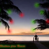 Christmas in Hawaii