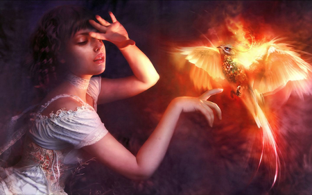 Dazzling Fire Bird - girls, woman, beauty, dazzling, female, people, photography, wings, animation, phoenix, fire, fantasy, other, art, glows, anime, birds, fly, fantsy, touch, firebird, lady, girl, light, bird, entertainment, abstract, 3d, red, beautiful, fairy