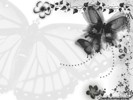 Classically Butterfly - butterfly, abstract, dark, 3d, classic, black, flower