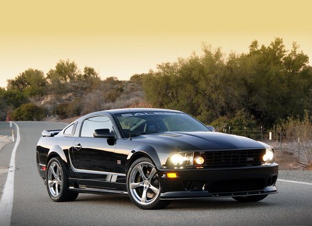 Saleen S302 Extreme '2008 - car, mustang, ford, tuning, saleen