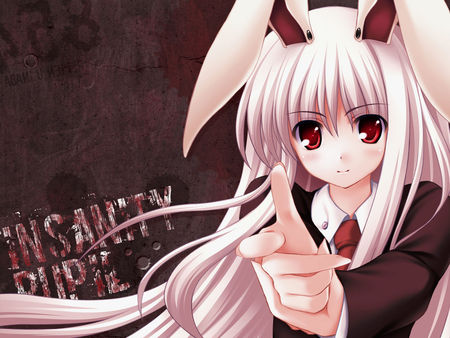 anime rabbit - anime, rabbit