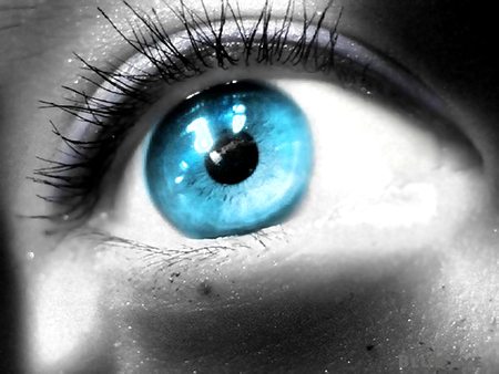 Blue Eye - lashes, eye, blue