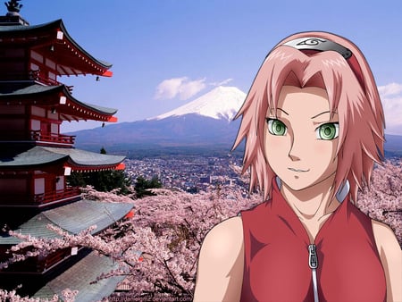 beautifull sakura - sakura, khai, naruto