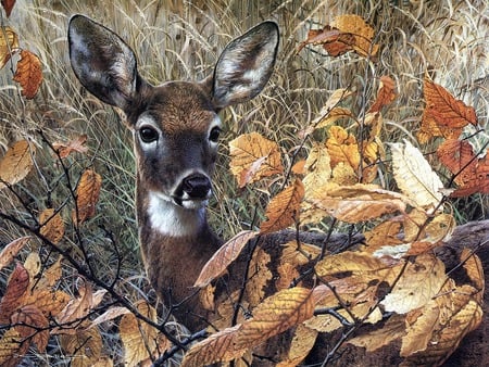 Deer in the bushes - animals, deer, bushes, nature, hiding, art, abstract, wild, 3d