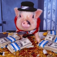 Hey Pig Spender