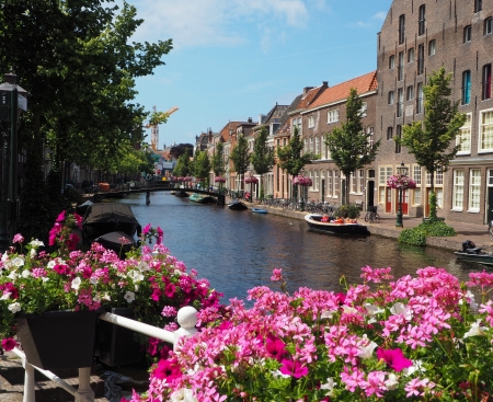 Houses in the Netherland - flowers, river, leiden, trees, nature, canal, houses