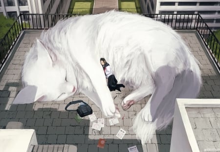 Sleeeping - pisica, white cat, arizuka, anime, girl, sleep, manga