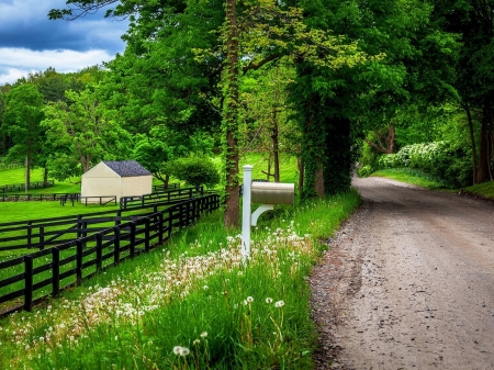 Country Road Through The Forest - cottage, nature, wild flowers, trees, forest, green, road, spring