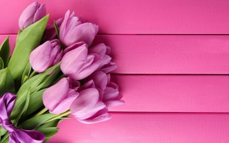 Fantastic tulip flowers - flowers, tulips, love, pink