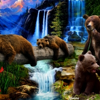 bears