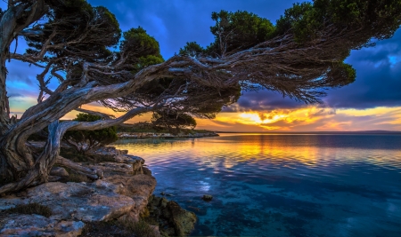 Tod River, Port Lincoln, Australia - clouds, sunset, water, reflection, tree, sky