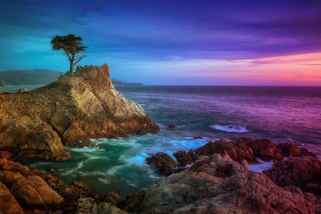 Rocky Beach - Water, Sunset, Cypress tree, Tree, Clouds, Rocks, Sky