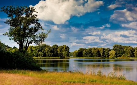 Silent Lake with a Smooth Surface - clouds, trees, nature, green, lake, grass, forest