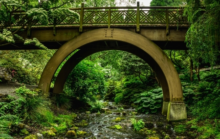 Portland Bridge in the Park - nature, trees, forest, river, park, usa, bridge