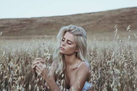 Unknown Model - babe, Blonde, lady, woman, model, blonde, field, farm