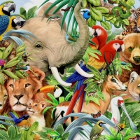 Animals