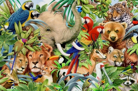 Animals - bird, parrot, moutain lion, bear, elephant, howard robinson, jungle, lion, animals