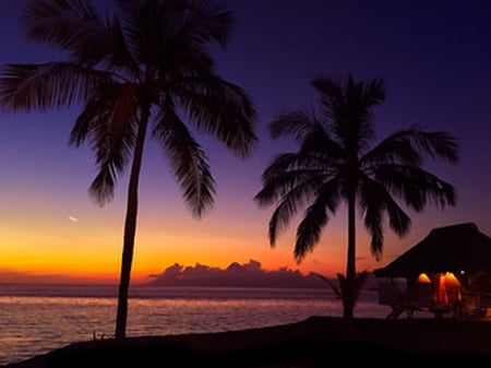 Beach paradise - vacation, palm trees, travel, island, sunset, sea