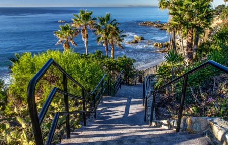 â™¥ - ladder, beach, vara, palm tree, water, green, summer, sea