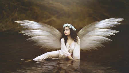 Angel - white, wreath, woman, model, wings, girl, angel