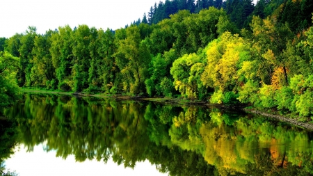 River in Autumn - river, trees, nature, coast, autumn, landscape, forest, reflection