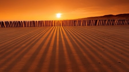 Shadow and light - wood, sky, evening, sunlight, sunset, dessert