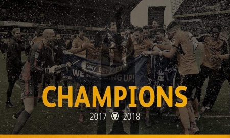 Champions 2018 Wolves FC - the wolves, molineux, wolf, 2018, champions, england, football, fc, gold and black, wolves football club, screensaver, fwaw, soccer, wolverhampton wanderers football club, english, out of darkness cometh light, wwfc, wolverhampton, wolverhampton wanderers fc, wolves, fans, wanderers, championship, wolves fc, wallpaper