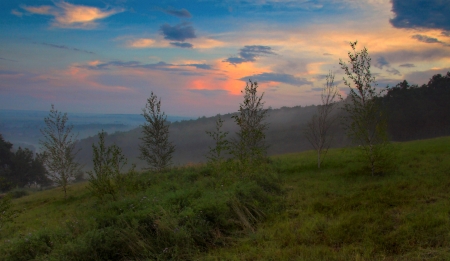 Amazing Nature - nature, sky, tree, sunset