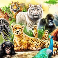 Wild Wild Animals