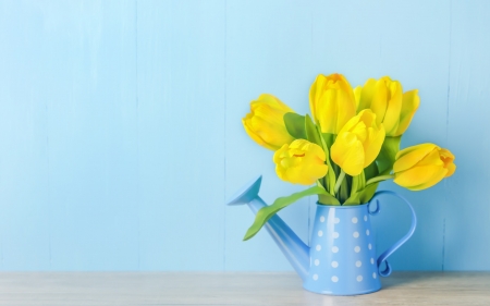 Happy Spring! - yellow, blue, spring, flower, tulip