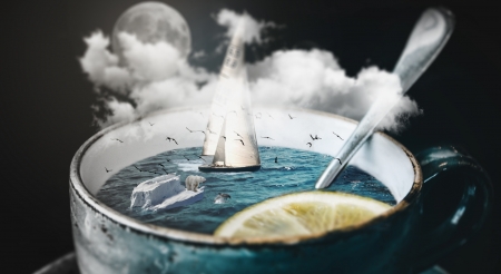 The lost - moon, water, summer, boat, creative, fantasy, slice, funny, cloud, fruit, lost, vara, luna, lemon, cup