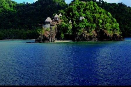 Laucala Island, Fiji - trees, hills, nature, fiji, island, sea, resort, forest