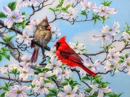 Springs Light - branches, birds, paintings, spring, cardinals, flowers, nature, love four seasons, animals