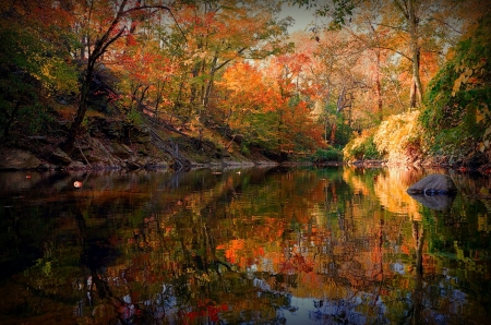 ♥ - trees, reflection, nature, autumn