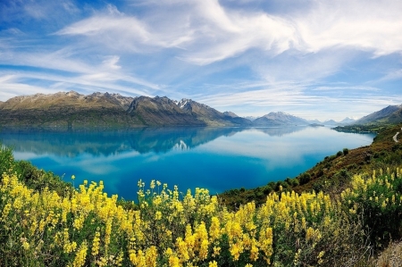 Flowers Beside River - flowers, clouds, river, nature, spring, mountains