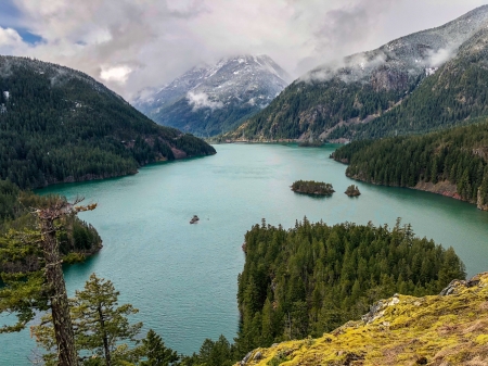 Diablo Lake - green, lake, forest, mountain, sky