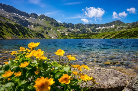 Tatra mountains - tatra, sky, lake, mountain, summer, spring, rocks, beautiful, wildflowers