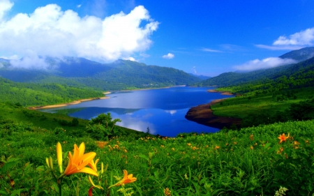 Lake Mountain - nature, lake, mountain, clouds, green, flowers, spring