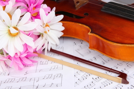 ♥ - flowers, pink, notes, violin