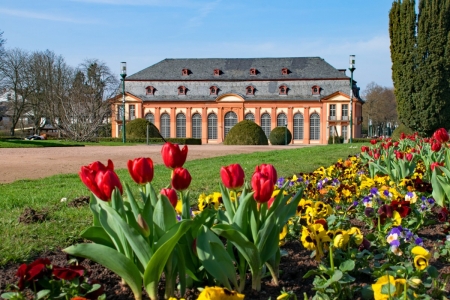 Orangery Garden in Darmstadt, Germany - building, blossoms, tulips, flowers, spring