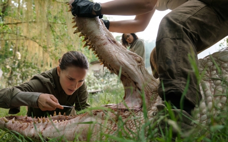 Annihilation - fun, movies, entertainment, cool, Annihilation