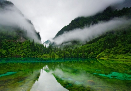 Reflecting Lake - nature, lake, trees, forest, reflection, green, mountains, mist