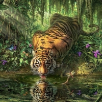 Tiger at The Watering Hole