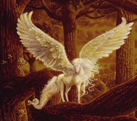 Pegasus - fantasy, white, steve a roberts, wings, pegasus, art, horse, luminos